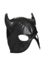 Маска с рогами Master Series: Dungeon Demon Bondage Mask with Horns, черная || Маска з рогами Master Series: Dungeon Demon Bondage Mask with Horns, чорна