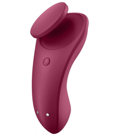Набор Satisfyer Partner Box 1 (вибратор для пар Double Joy + вибратор в трусики Sexy Secret) || Набір Satisfyer Partner Box 1 (вібратор для пар Double Joy + вібратор у трусики Sexy Secret)