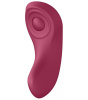 Набор Satisfyer Partner Box 1 (вибратор для пар Double Joy + вибратор в трусики Sexy Secret) || Набір Satisfyer Partner Box 1 (вібратор для пар Double Joy + вібратор у трусики Sexy Secret)